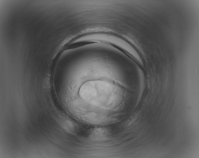 X0000068320111200604211215