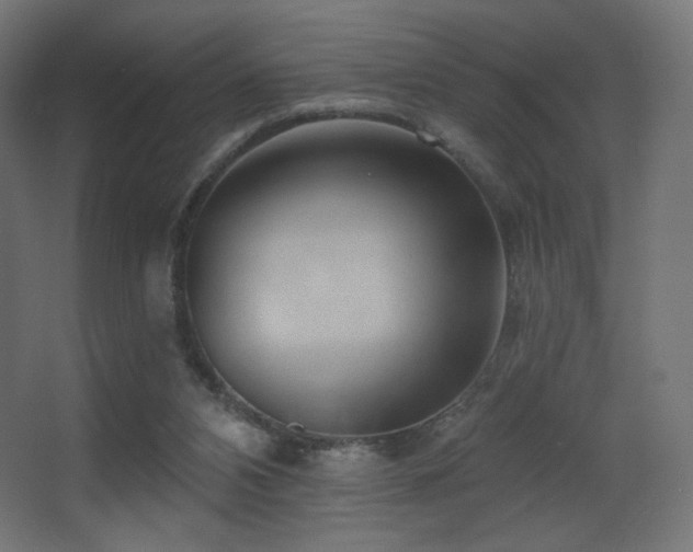 X0000068320112200604211215