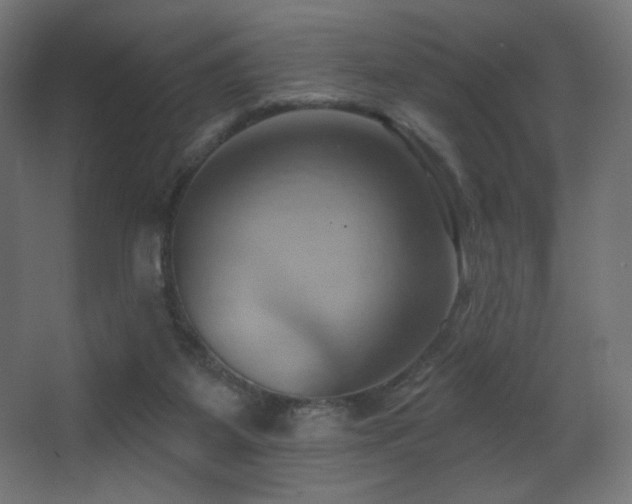 X0000068320115200604211215