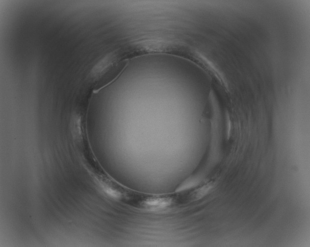 X0000068320117200604211215