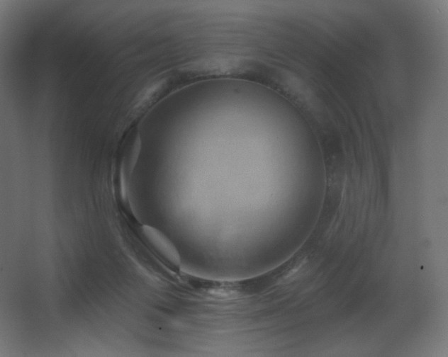 X0000068320119200604211215