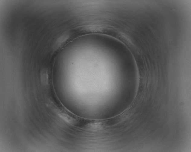 X0000068320120200604211215