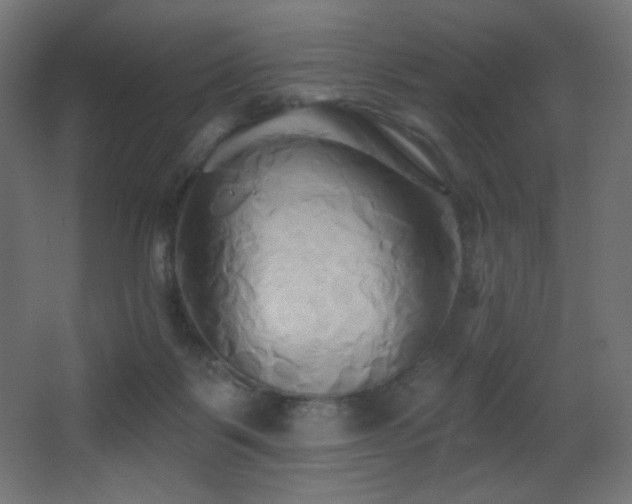 X0000068320123200604211215