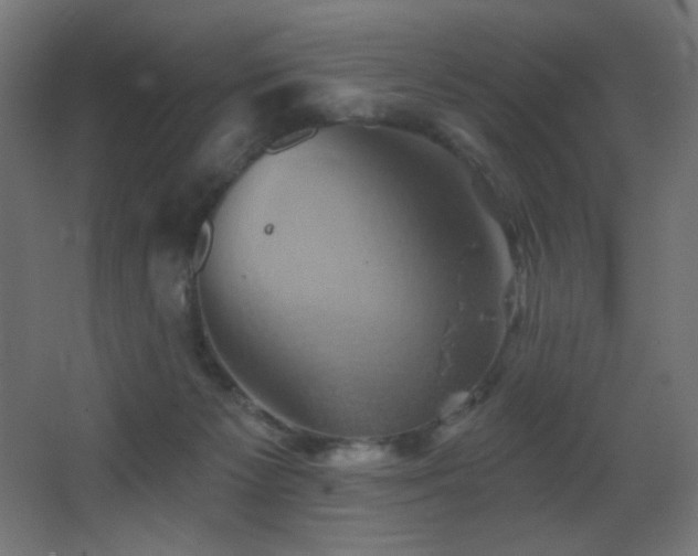 X0000068320125200604211215