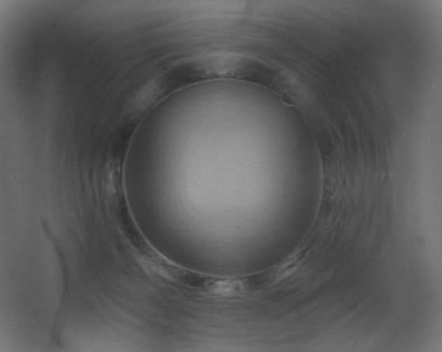X0000068320126200604211215