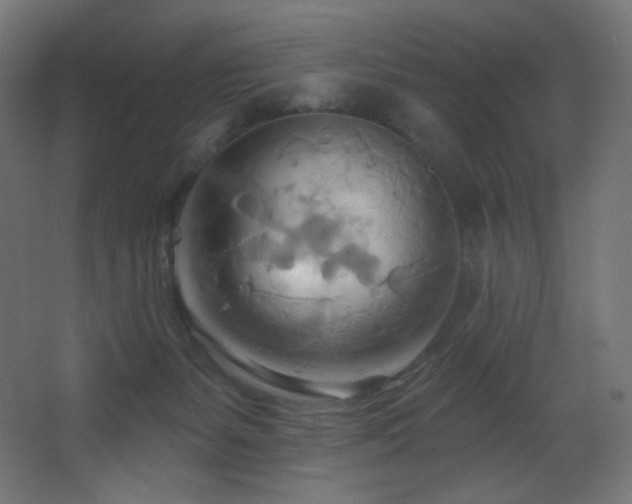 X0000068320127200604211215