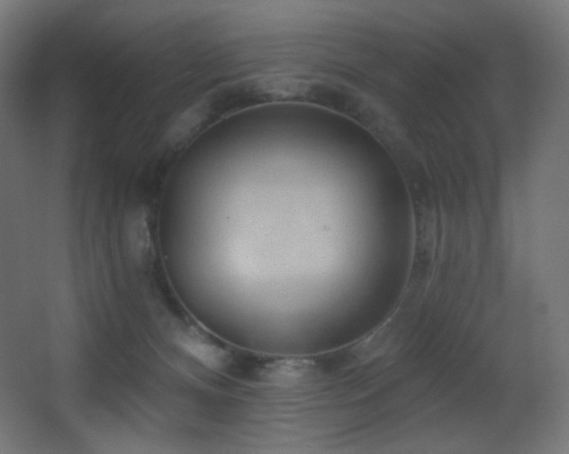X0000068320128200604211215