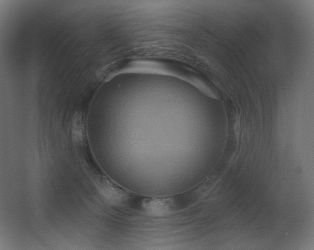 X0000068320129200604211215