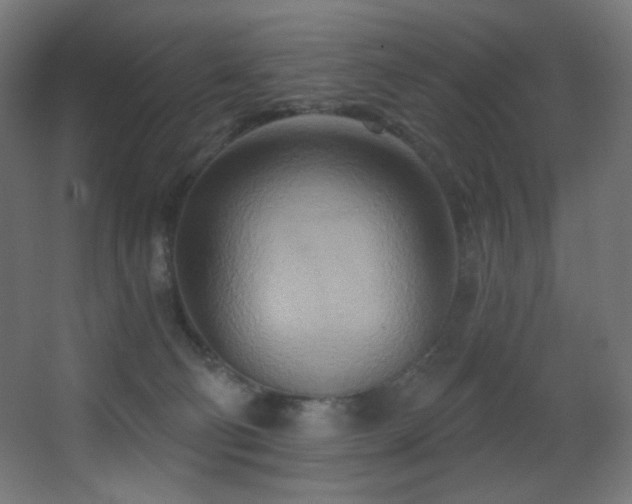 X0000068320130200604211215