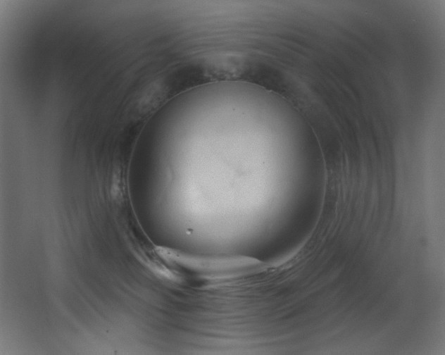 X0000068320134200604211215