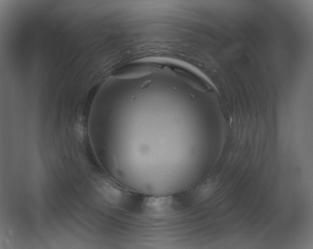 X0000068320135200604211215
