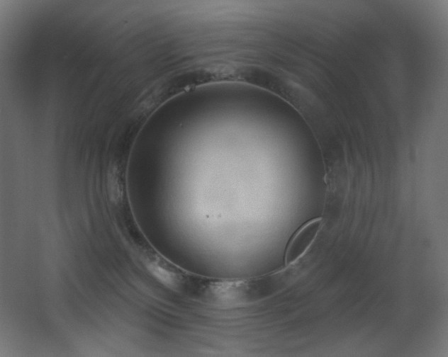X0000068320136200604211215