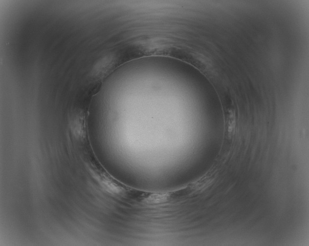 X0000068320138200604211215