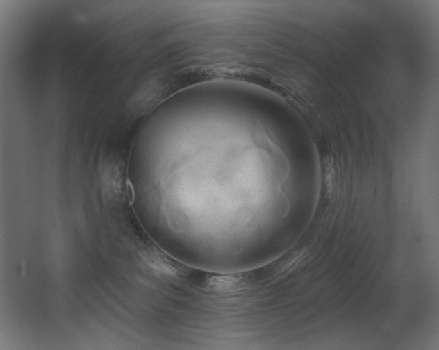 X0000068320139200604211215