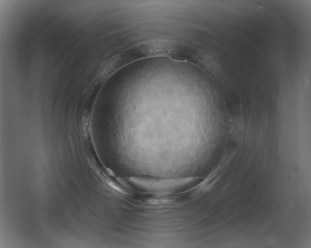 X0000068320142200604211215