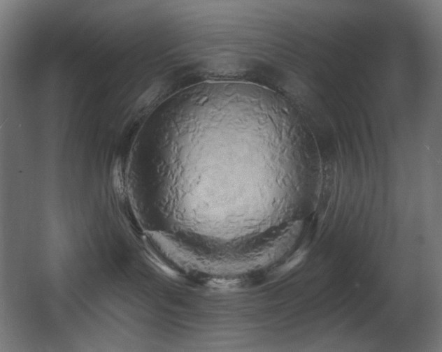X0000068320143200604211215