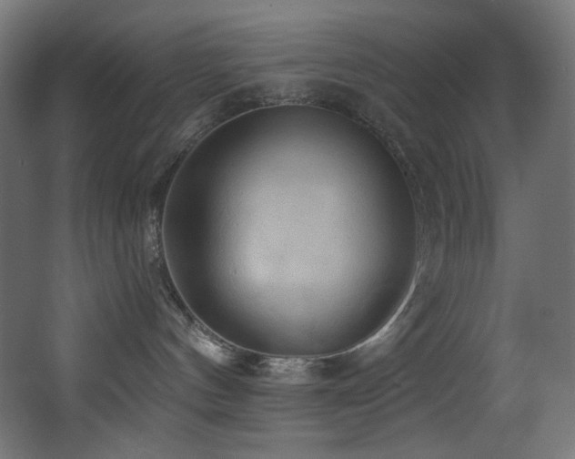 X0000068320144200604211215