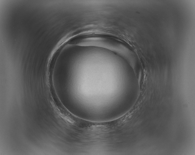 X0000068320150200604211214