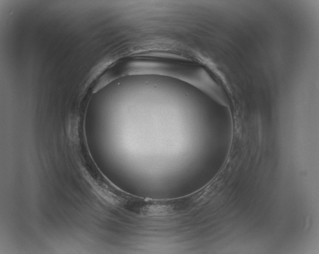 X0000068320154200604211214