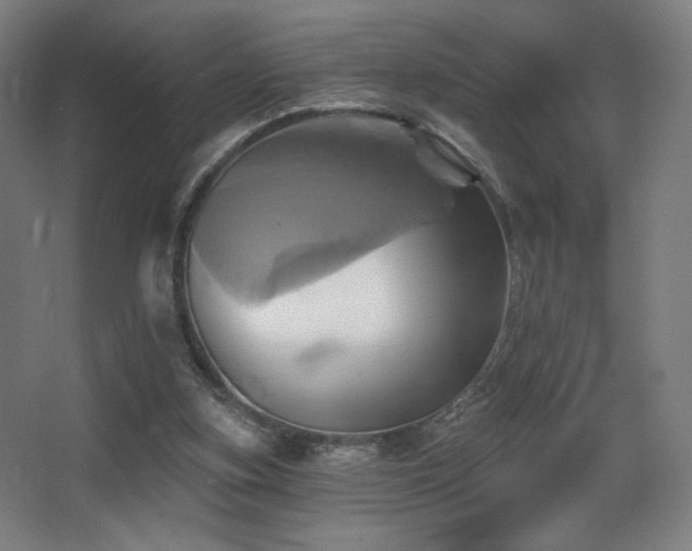 X0000068320155200604211214