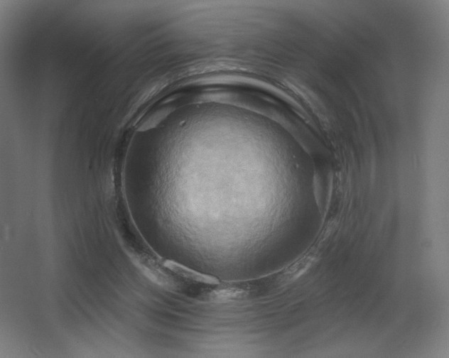 X0000068320158200604211214