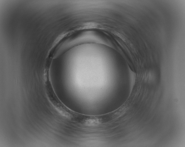 X0000068320160200604211214