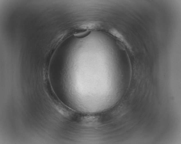 X0000068320161200604211214