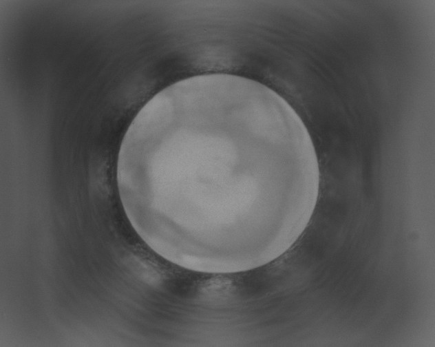 X0000068320162200604211214