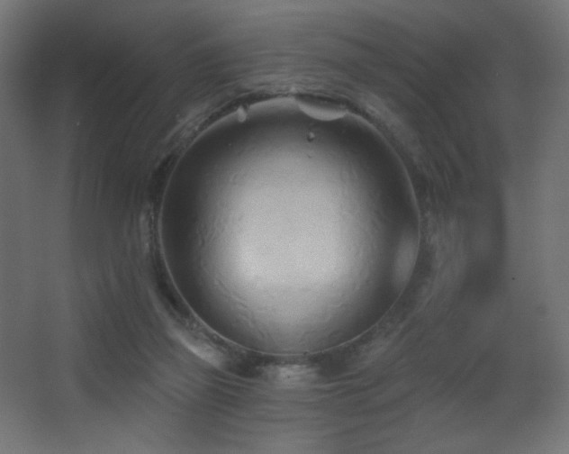 X0000068320165200604211214