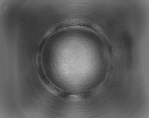 X0000068320167200604211214