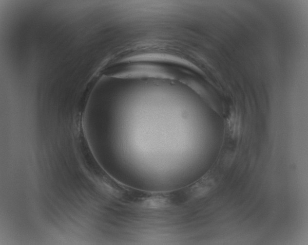 X0000068320168200604211214