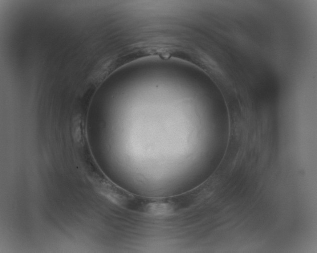X0000068320169200604211214