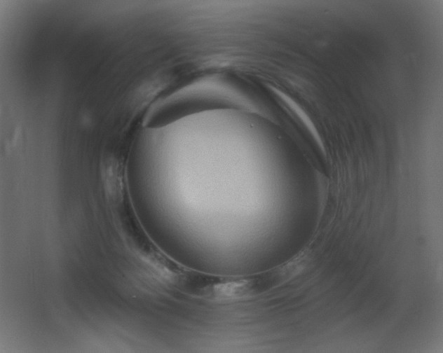 X0000068320172200604211214