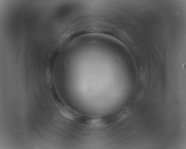 X0000068320173200604211215