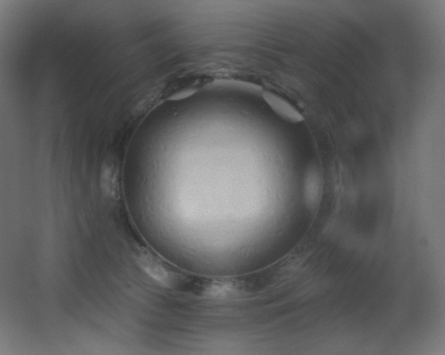 X0000068320177200604211215