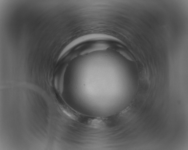 X0000068320180200604211215