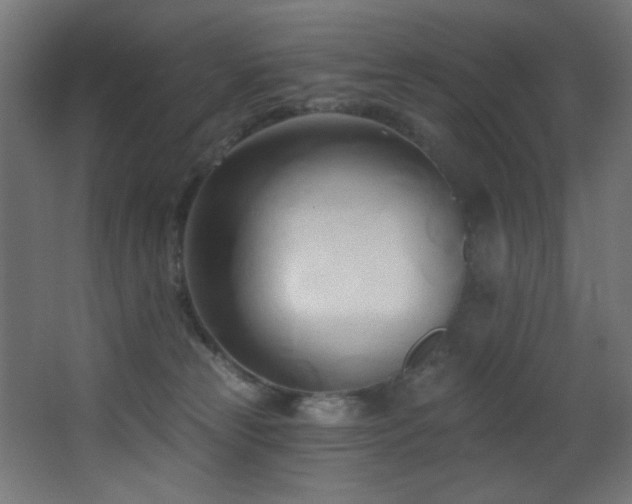 X0000068320181200604211215