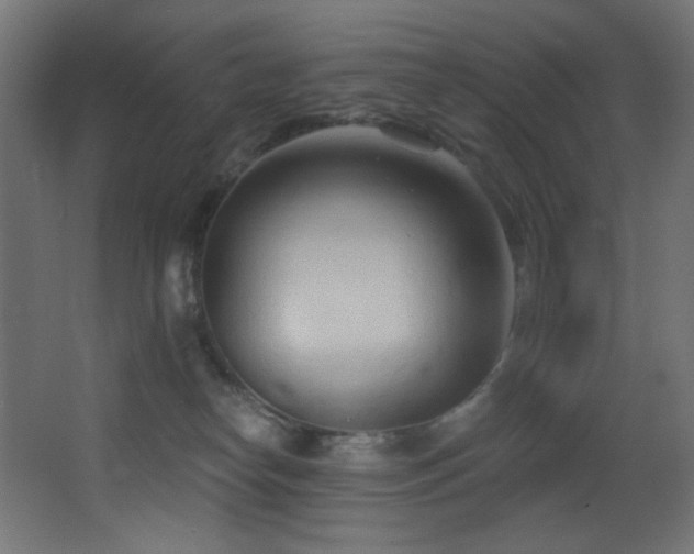 X0000068320182200604211215