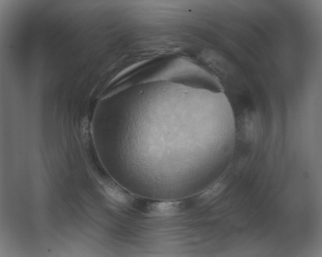 X0000068320184200604211215
