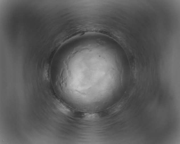 X0000068320185200604211215