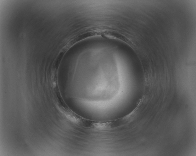 X0000068320187200604211215