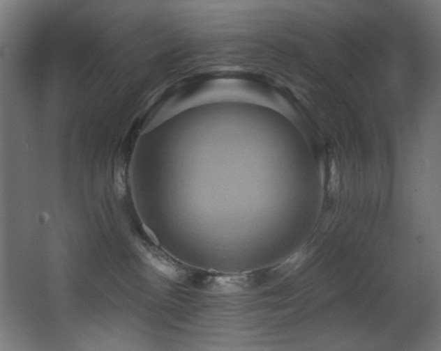 X0000068320188200604211215