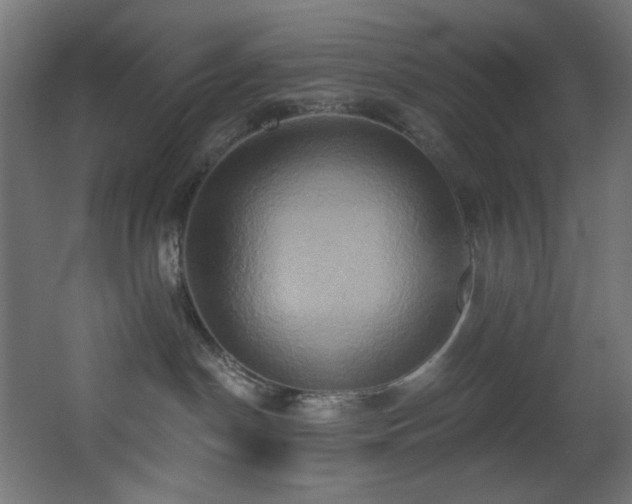 X0000068320190200604211215