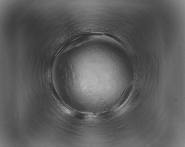 X0000068320192200604211215