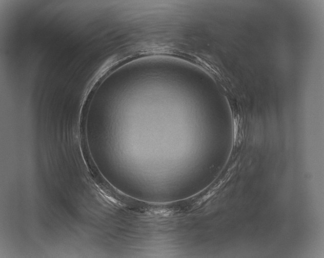 X0000068320195200604211214