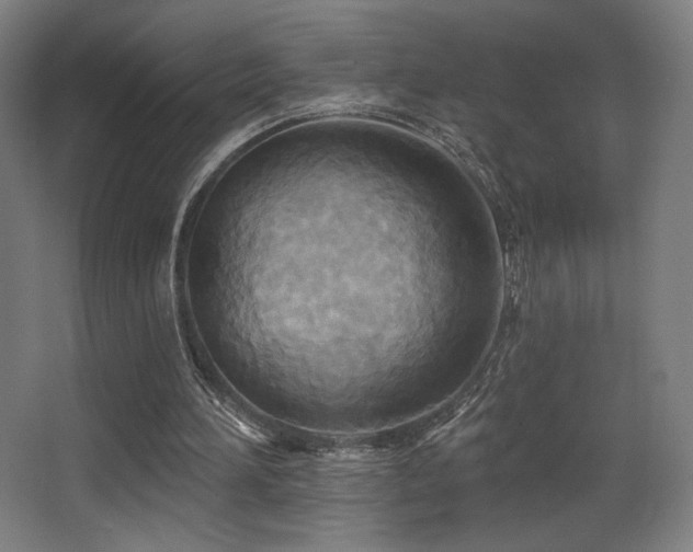 X0000068320196200604211214