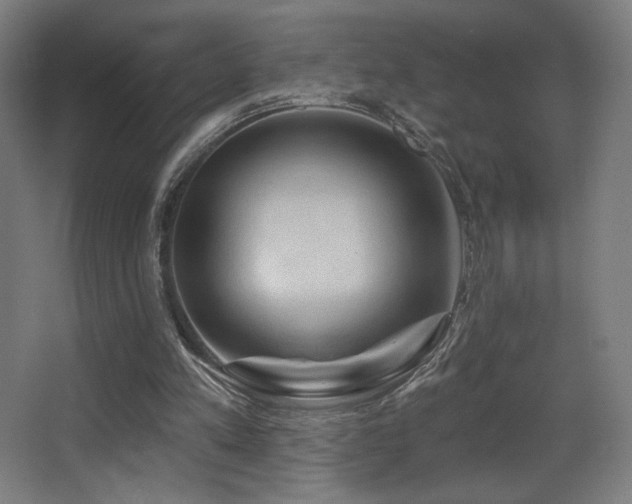 X0000068320197200604211214