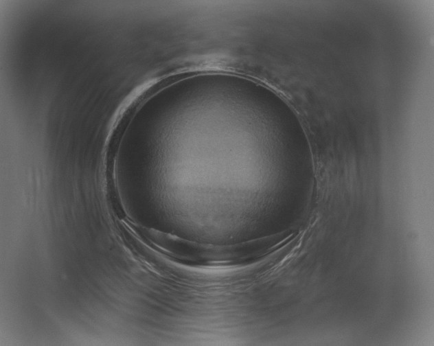 X0000068320200200604211214