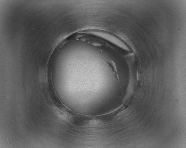 X0000068320204200604211214