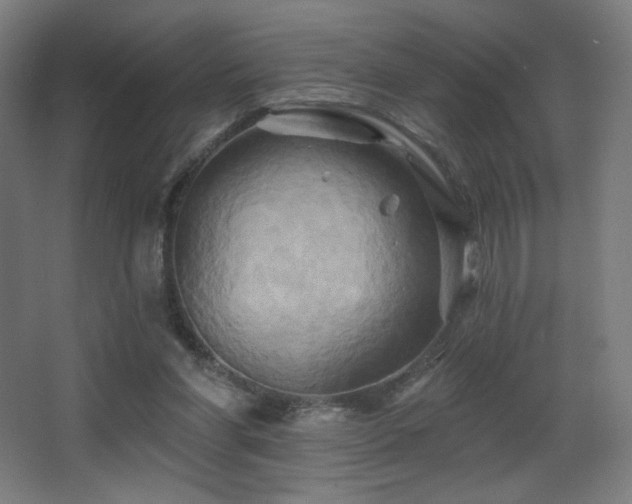 X0000068320206200604211214